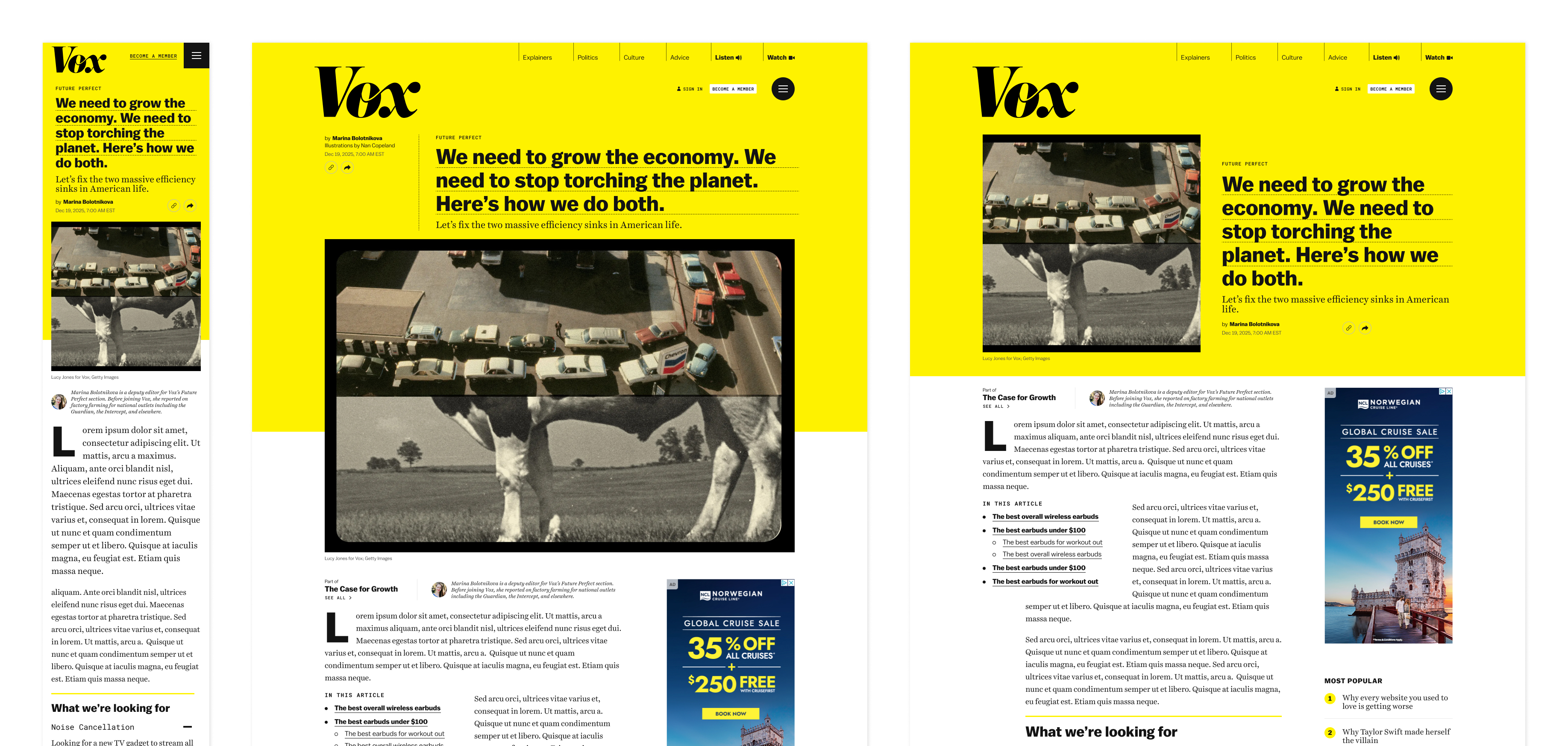 Feature article template on Vox